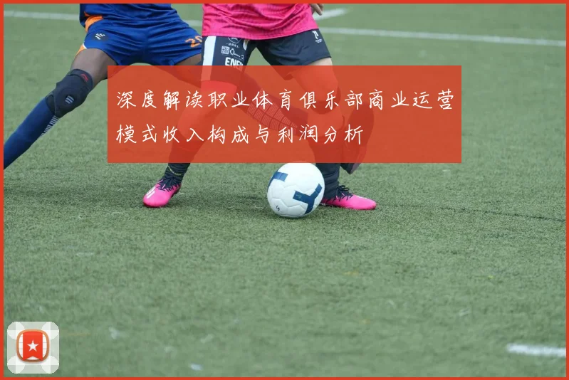 深度解读职业体育俱乐部商业运营模式收入构成与利润分析